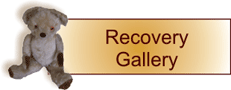 Recovery Gallery
