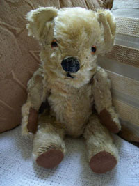 Teddy after treatment