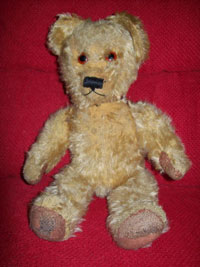 Teddy after treatment