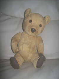 Teddy after treatment