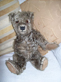 Teddy before treatment