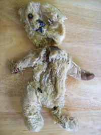 Teddy before treatment