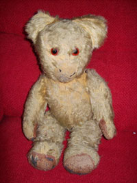 Teddy before treatment