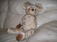 Teddy before treatment