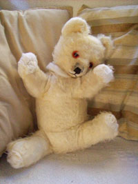 Teddy before treatment