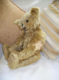 Teddy before treatment