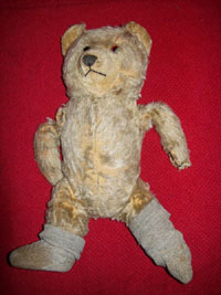 Teddy before treatment